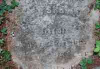 William James SHELDON - Grave