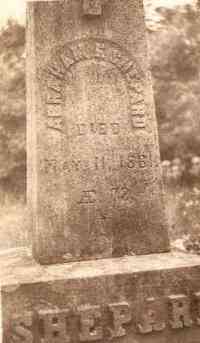 Abraham Ferris SHEPARD - Grave