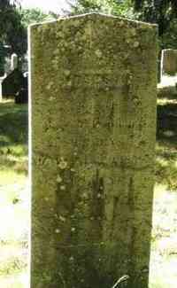 Moses Austin STEVENS - Grave