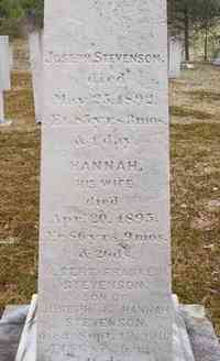 Albert Franklin STEVENSON - Grave