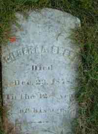 Gilbert Aldrich SWEET - Grave