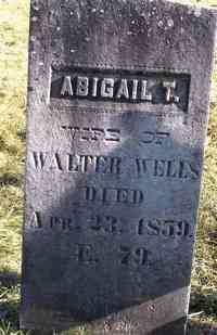 Abigail TERRILL (TYRELL) - Grave
