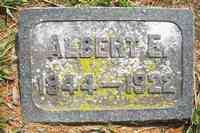 Albert Eugene TERWILLIGER - Grave