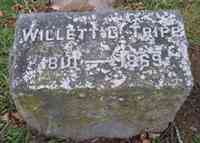 Willett G. TRIPP - Grave