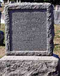 Desmond W TRIPP - Grave