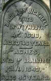 Agnes Anna LOVELL? - Grave