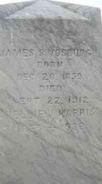 Nellie J GALUSHA - Grave