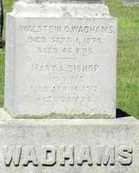 Walstein WADHAMS - Grave