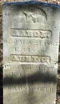 Aaron WADSWORTH - Grave  Wadsworth, E. H., (father),  Aug. 19, 1821 - July 10, 1893.  (Civil War)  Wadsworth, Diana,  his wife,  Mar. 11, 1826 - Jan. 12, 1892.