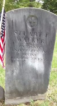 Stuart Frederick WALKER - Grave