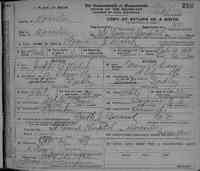 Francis Joseph WALSH - Massachusetts, State Vital Records, 1841-1920
