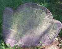 John Turner WARD - Grave