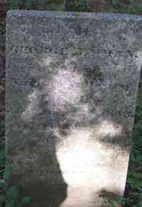 George Lyman WELLS - Grave