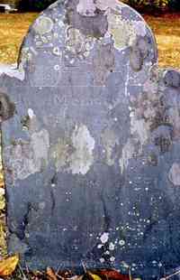 Ebenezer WHEELER - Grave  Inscription: In Memory of Mr. Ebenezer Wheeler Who died Feb 17 1801 In the 86th year  of his age. 