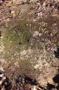 James WILLIAMS - Grave