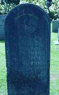 Emily WILSON - Grave