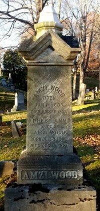 Phebe Ann AKIN - Grave